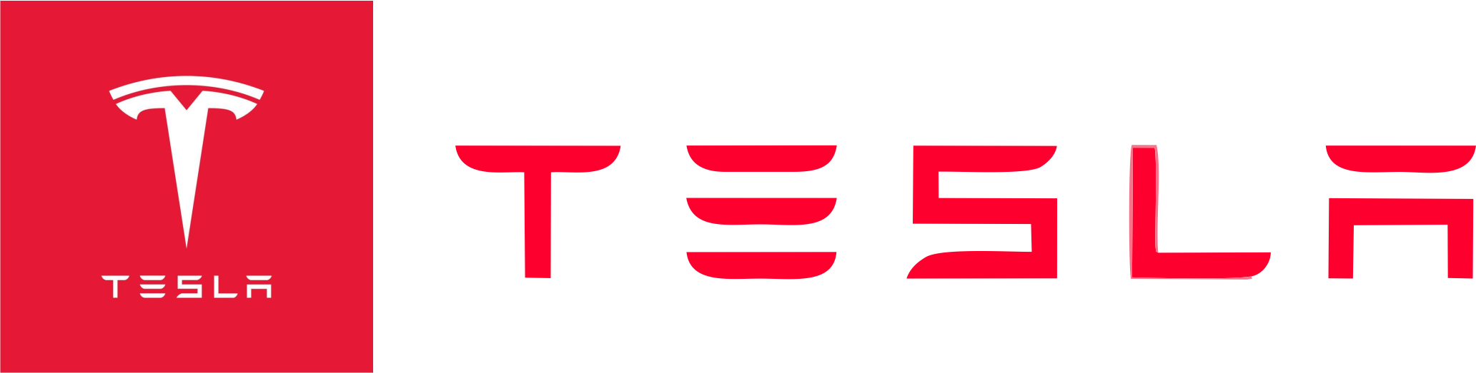 Tesla Inc